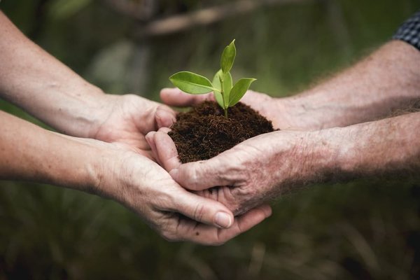 Quelles sont les meilleures pratiques pour la conservation de l'eau dans le secteur agricole?